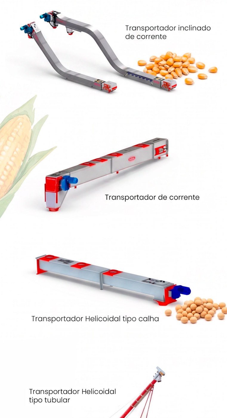 Transportadores